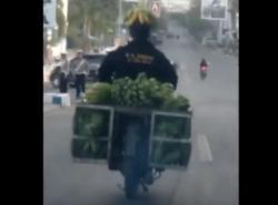 Viral Pemotor Pakai Helm Pisang Lolos Razia Polisi, Ini Kata Kasatlantas Wajo