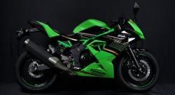 Kawasaki Hadirkan Ninja 250SL Livery KRT di Indonesia, Ini Harganya