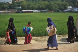 Hampir 400 Warga Rohingya Pulang Kembali ke Myanmar dari Bangladesh