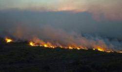  Kebakaran Hutan Besar Landa Pantanal Brasil