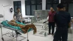 Pembunuh Mahasiswi di Bengkulu Meninggal Dunia, Tersangka Sempat Masuk Ruang ICU