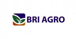MNC Sekuritas: Kinerja Kuartal I-2019 Positif, Beli Saham BRI Agro