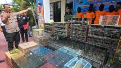 Ratusan Cucak Ijo Selundupan Diamankan di Pelabuhan Tanjung Perak Surabaya
