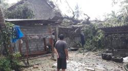 61 Rumah di Kulonprogo Rusak Tertimpa Pohon di Pekan Awal 2020