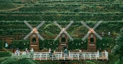 Wisata Instagramable Kebun Teh Pagilaran di Batang, Unik Ada Bangunan Kuno Eropa