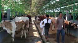 Antisipasi Antraks, Pemkab Kulonprogo Intensifkan Pengawasan Pasar Hewan