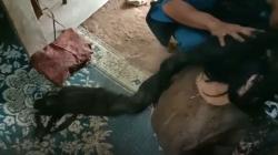 Nenek di Semarang yang Dijuluki Genderuwo karena 27 Tahun Tak Mandi Dievakuasi