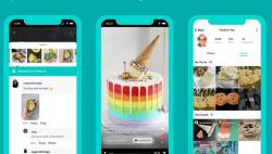 Saingi TikTok, Google Hadirkan Aplikasi Bernama Tangi