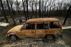 Terancam Kebakaran Hutan Lagi, Ibu Kota Australia Umumkan Keadaan Darurat