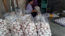 DPR Minta Pemerintah Impor Bawang Putih dari Negara Selain China