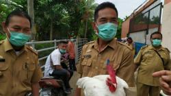 Cegah Flu Burung, Pemkot Palembang Siapkan Vaksin Gratis untuk Peternak Ayam