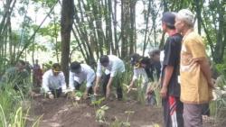 Presiden Jokowi Hijaukan Lahan Kritis di Wonogiri dengan Tanaman Vetiver