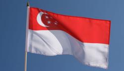 Paspor Warga Singapura Ini Dibatalkan karena Langgar Aturan Isolasi dengan Pergi ke Indonesia