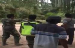 Detik-Detik Anggota TNI di Palembang Tewas Diinjak Gajah saat Selamatkan Warga