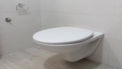 Smart Toilet Bisa Mencari Tanda Penyakit lewat Kotoran Manusia