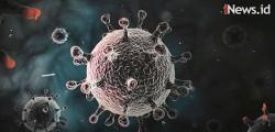 Video Jumlah Pasien Sembuh dari Virus Corona di Indonesia Terus Bertambah