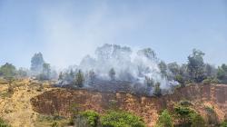 Titik Panas akibat Kebakaran Hutan di Kepulauan Riau Bertambah