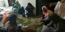  Harga Cabai Merosot, Penyuluh Pertanian di Rembang Lakukan Aksi Borong