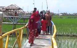 Terapkan Protokol Kesehatan, Desa Wisata Sawah di Medan Ramai Pengunjung
