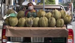 60 Orang Dievakuasi, 12 Masuk Rumah Sakit Disebabkan Paket Durian di Jerman