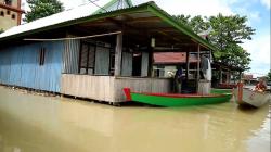 Banjir 3 Meter di Wajo Semakin Meluas, Puluhan Desa Terendam