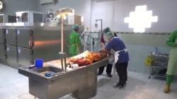 Pembunuh Vanny Ditangkap di Bengkulu, Ternyata Pelajar SMA