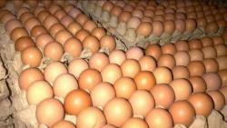Harga Telur Ayam Ras di Salatiga Masih Mahal, Rp30.000 per Kilogram 