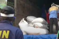 Video BNN Gerebek Gudang Narkoba 200 Kg di Tangerang