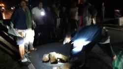 Kejar-kejaran dengan Polisi, 2 Pengedar Ganja Asal Agam Ambruk Ditabrak Polisi