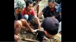Tukang Jagal yang Tewas di Atas Domba Sempat Sembelih 2 Hewan Kurban