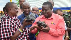 Penambang Tanzania jadi Orang Kaya Baru setelah Temukan Tiga Batu Mulia Langka