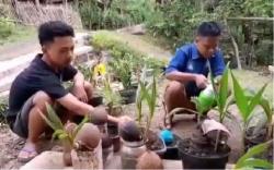 2 Remaja Banyumas Buka Usaha Bonsai Kelapa, Hasilnya untuk Beli Kuota Internet Sekolah
