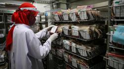 Stok Darah PMI Kota Tangerang Turun 50 Persen