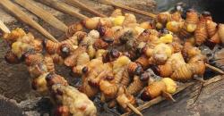 4 Makanan Paling Aneh di Indonesia, Sudah Pernah Coba?