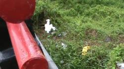 Duh, Sampah APD Dibuang di Sungai Kelekar Prabumulih