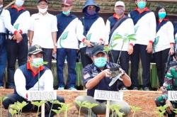 Selain Lumbung Beras, Herman Deru Dorong Banyuasin Jadi Sentra Porang