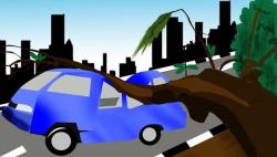 Pohon Tumbang Timpa Kontrakan di Depok, Damkar Evakuasi