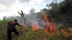 Cuaca Panas, Titik Api Bermunculan di Banjarbaru Kalimantan Selatan