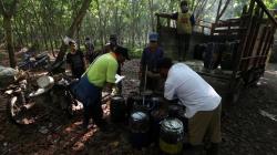 Musim Gugur Daun, Pabrik Karet di Sumut Kesulitan Dapatkan Bahan Baku