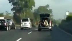 Viral Pemuda Buka Pintu Belakang Mobil di Jalan Tol, Ini Kata Polisi