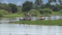 Nelayan Labuhanbatu Utara Hilang di Sungai, Diduga Ditelan Buaya
