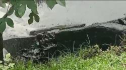 Sungai Batanghari di Musi Banyuasin Tercemar, Diduga dari Limbah Pabrik Sawit<