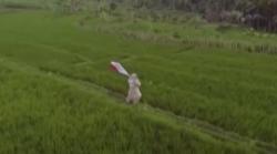 Video Film Merah Putih Versus Radikalisme Tuai Kontroversi