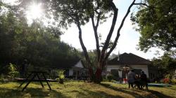 Penginapan Bergaya Kolonial Belanda Jadi Tujuan Wisata Sambil Outbound di Jember