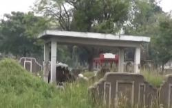Video Viral Sepasang Kekasih Berbuat Mesum di TPU Kebon Nanas saat Azan Berkumandang