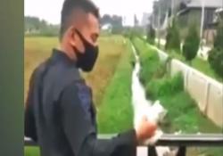 Video Viral Pria Diduga Polisi Banting Kucing ke Parit