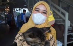 Berkunjung ke Lembang Park Zoo, Istri Wagub Jabar Senang Menggendong Kucing