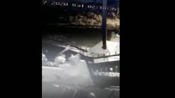 Aksi Pencurian Anjing Golden Retriever di Medan Terekam CCTV