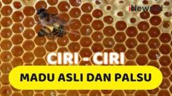 Video 6 Cara Mengetahui Madu Asli atau Palsu