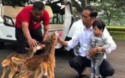Jokowi Ajak Cucu Susui Bayi Rusa, Netizen: Sehat Selalu Presidenku